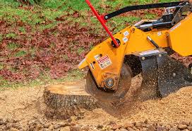 Best Lawn Pest Prevention  in Harrisonburg, VA